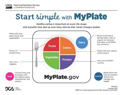 MY PLATE
